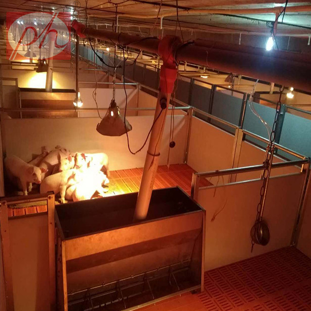 ������,С�i���������߶˱�����λ�����ر�����